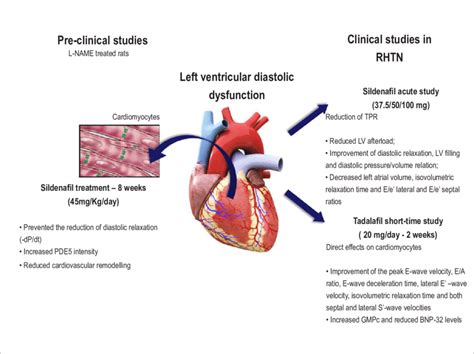 lv disfunction|left ventricular diastolic dysfunction.